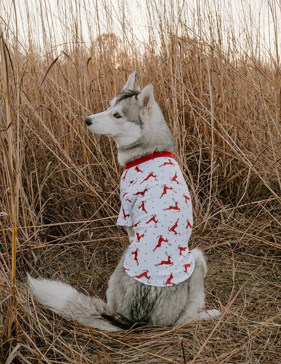 Big Dog Animal Print Pajamas